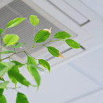 4 HVAC Tips to Improve Indoor Air Quality