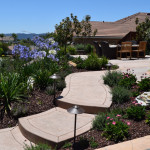 Fight the Drought With Low-Water Landscaping