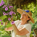Summer Safety Tips for Your Elderly Parents
