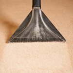 When is the Right Time to Clean the Carpets in a Home?