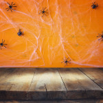 Don’t Let a Pest Infestation Make a Home Spooky this Halloween