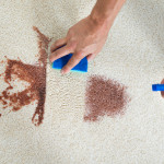 Is it a Good Idea to Pre-Treat Carpet Stains Before Cleaning?