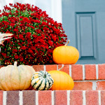 Home Seller Mistakes that Could be Spooking Potential Buyers