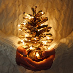 Light the Christmas Tree with Energy from the Sun