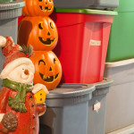 Tips for Keeping Pests Out of the Holiday Decorations