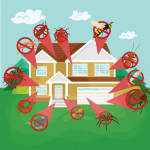 Buying a Home? Don’t Skip the Termite Inspection!