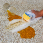 Myths and Facts about Residential Carpet Cleaning