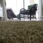 Carpet Cleaning Improves the Health and Aesthetics of a Home