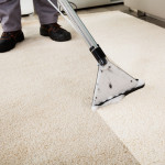 Mildew: One of the Dangers of Low-Quality Carpet Cleaning