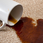 Do Carpet Protection Treatments Work?