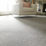 Carpet Trivia: 8 Interesting Facts About Residential Flooring
