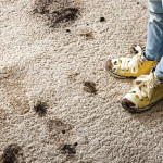 Carpet Cleaning: Why It’s Necessary During the Shelter in Place Order
