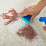 3 Most Common Carpet Cleaning Mistakes