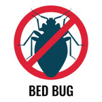 Unwanted Souvenirs: Bringing Bed Bugs Home from Vacation