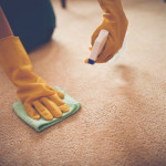 Does DIY Carpet Cleaning Really Work?