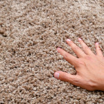 4 Reasons Why Professional Carpet Cleaning is Worth the Investment