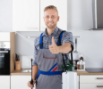 3 Reasons Why It’s Best to Hire Pro Pest Control Services