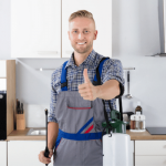 3 Reasons Why It’s Best to Hire Pro Pest Control Services