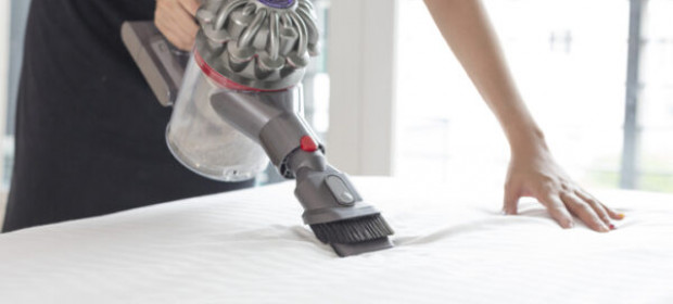 Eliminate Allergens in the Home with Professional Carpet Cleaning