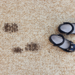 Summer Stains: How to Keep Your Carpets Clean During Outdoor Activities