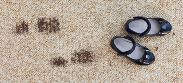 Summer Stains: How to Keep Your Carpets Clean During Outdoor Activities