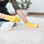 Carpet Cleaning Safety for Pets and Children