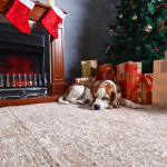 Reasons Why Carpet Cleaning Is Needed During the Holidays