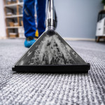 Why Professional Carpet Cleaning Should Be a Priority in 2024