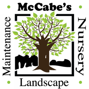 McCabe's-logo-tree