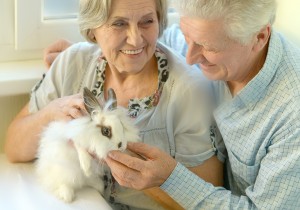 Pet Therapy for Elderly Care
