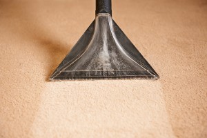 When is the Right Time to Clean the Carpets in a Home